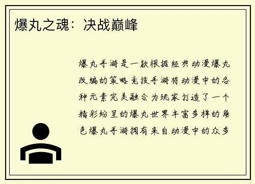 爆丸之魂：决战巅峰